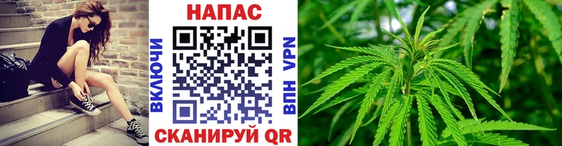 Купить закладки  Сенгилей  Каннабис планчик 